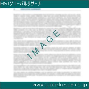 グローバルリサーチ調査レポートのイメージ